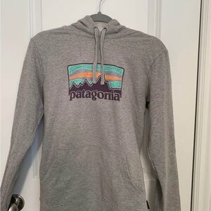 Patagonia Gray Hoodie